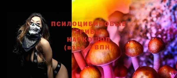 скорость Лагань